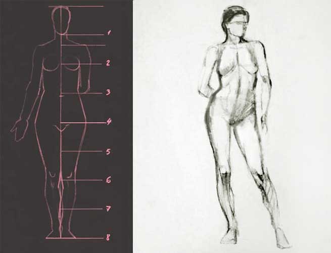 Female figure proportions drawing