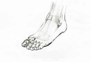 Foot drawing